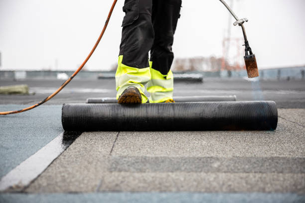 Best Roof Maintenance and Cleaning  in Collinsville, TX